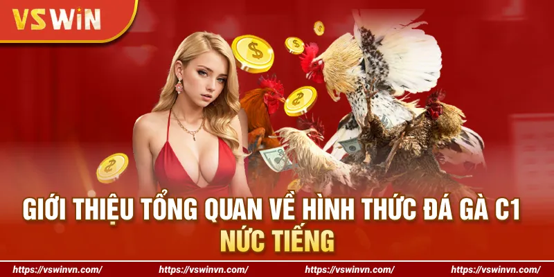 Giới thiệu tổng quan về hình thức đá gà C1 nức tiếng